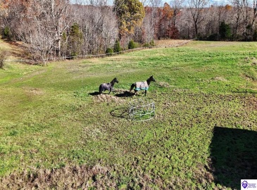 Salt River Road, Eastview, Kentucky 42732, ,3 BathroomsBathrooms,For Sale,Salt River Road,HK24004549