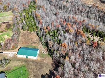 Salt River Road, Eastview, Kentucky 42732, ,3 BathroomsBathrooms,For Sale,Salt River Road,HK24004549