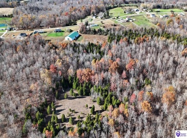 Salt River Road, Eastview, Kentucky 42732, ,3 BathroomsBathrooms,For Sale,Salt River Road,HK24004549