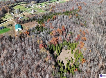 Salt River Road, Eastview, Kentucky 42732, ,3 BathroomsBathrooms,For Sale,Salt River Road,HK24004549