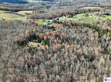 Salt River Road, Eastview, Kentucky 42732, ,3 BathroomsBathrooms,For Sale,Salt River Road,HK24004549