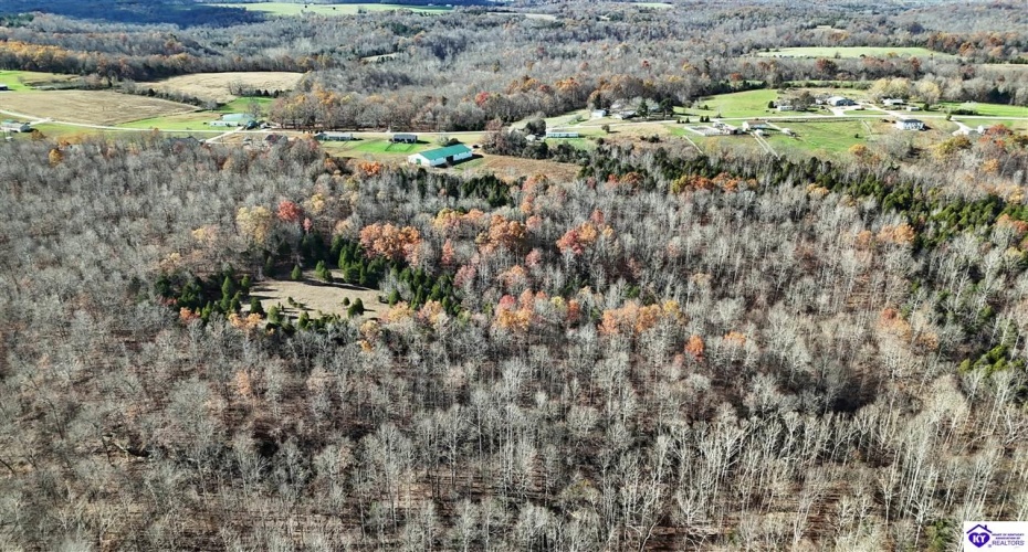 Salt River Road, Eastview, Kentucky 42732, ,3 BathroomsBathrooms,For Sale,Salt River Road,HK24004549