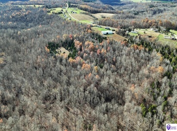 Salt River Road, Eastview, Kentucky 42732, ,3 BathroomsBathrooms,For Sale,Salt River Road,HK24004549