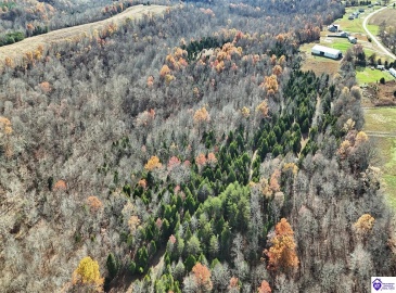 Salt River Road, Eastview, Kentucky 42732, ,3 BathroomsBathrooms,For Sale,Salt River Road,HK24004549