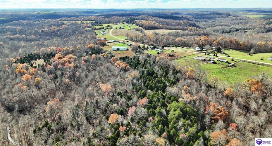 Salt River Road, Eastview, Kentucky 42732, ,3 BathroomsBathrooms,For Sale,Salt River Road,HK24004549