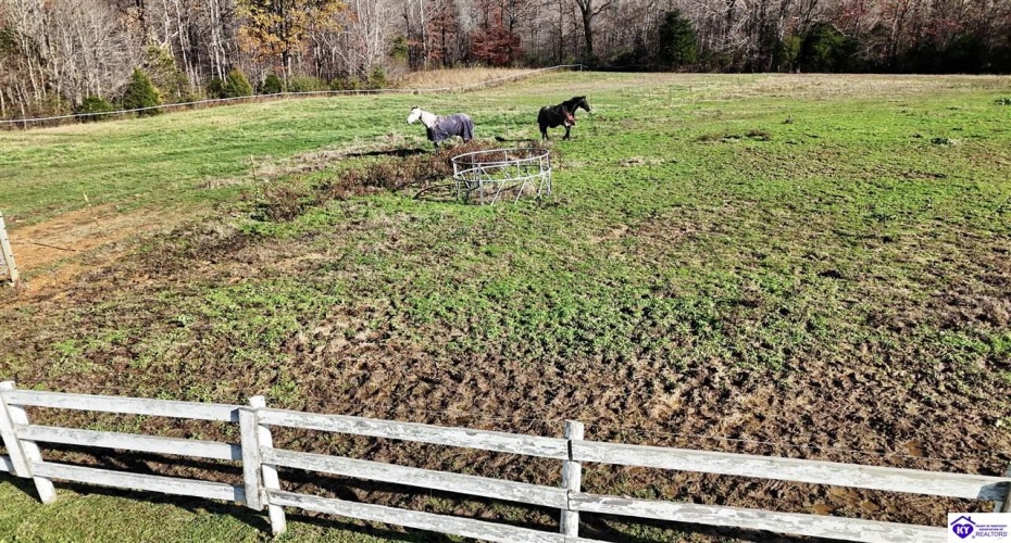 Salt River Road, Eastview, Kentucky 42732, ,3 BathroomsBathrooms,For Sale,Salt River Road,HK24004549