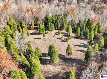 Salt River Road, Eastview, Kentucky 42732, ,3 BathroomsBathrooms,For Sale,Salt River Road,HK24004549