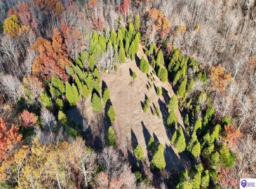 Salt River Road, Eastview, Kentucky 42732, ,3 BathroomsBathrooms,For Sale,Salt River Road,HK24004549