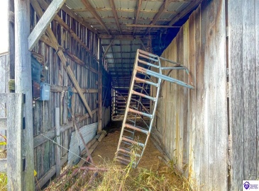 Smith Chapel Road, Campbellsville, Kentucky 42718, ,For Sale,Smith Chapel Road,HK23003699