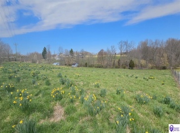 Bennett Road, Rineyville, Kentucky 40162, ,For Sale,Bennett Road,HK24001009