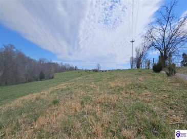 Bennett Road, Rineyville, Kentucky 40162, ,For Sale,Bennett Road,HK24001009