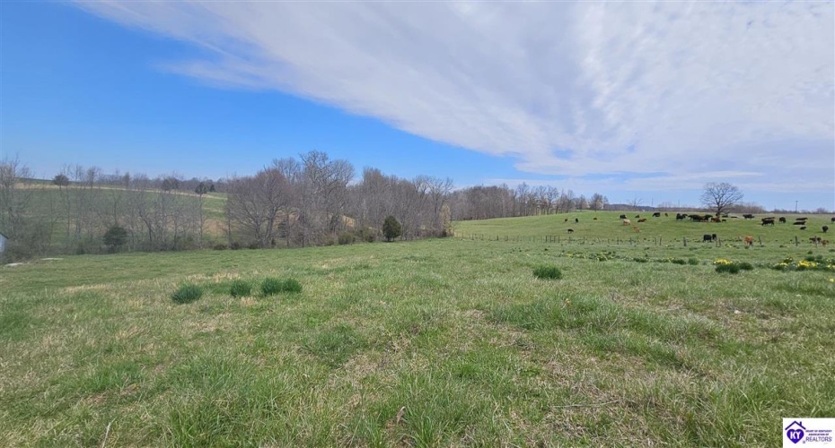 Bennett Road, Rineyville, Kentucky 40162, ,For Sale,Bennett Road,HK24001009