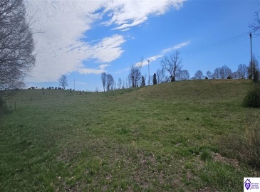 Bennett Road, Rineyville, Kentucky 40162, ,For Sale,Bennett Road,HK24001009