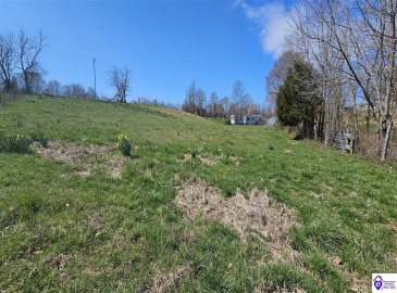 Bennett Road, Rineyville, Kentucky 40162, ,For Sale,Bennett Road,HK24001009