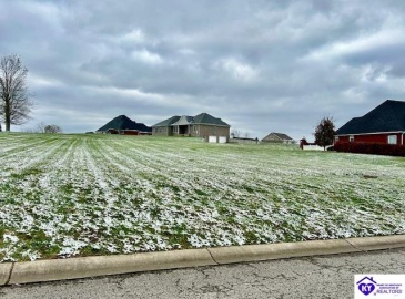 Three Wood Lane, Campbellsville, Kentucky 42718, ,For Sale,Three Wood Lane,HK24004564