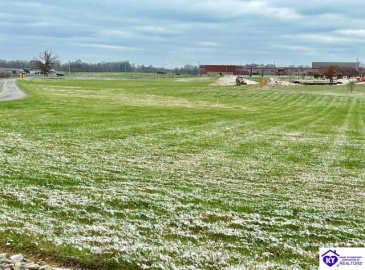 Three Wood Lane, Campbellsville, Kentucky 42718, ,For Sale,Three Wood Lane,HK24004569