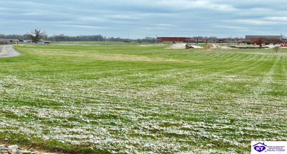 Three Wood Lane, Campbellsville, Kentucky 42718, ,For Sale,Three Wood Lane,HK24004569