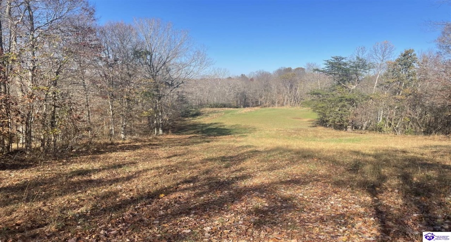 Junior Stilts Road, Greensburg, Kentucky 42743-0000, ,For Sale,Junior Stilts Road,HK24004583