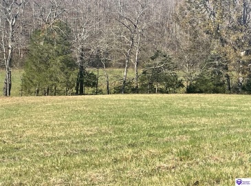 Junior Stilts Road, Greensburg, Kentucky 42743-0000, ,For Sale,Junior Stilts Road,HK24004583