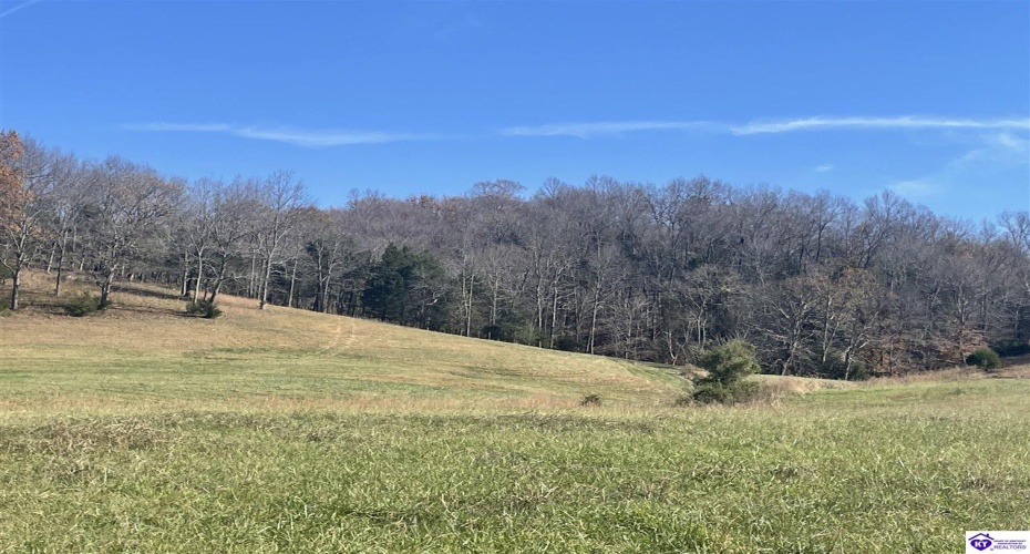 Junior Stilts Road, Greensburg, Kentucky 42743-0000, ,For Sale,Junior Stilts Road,HK24004583