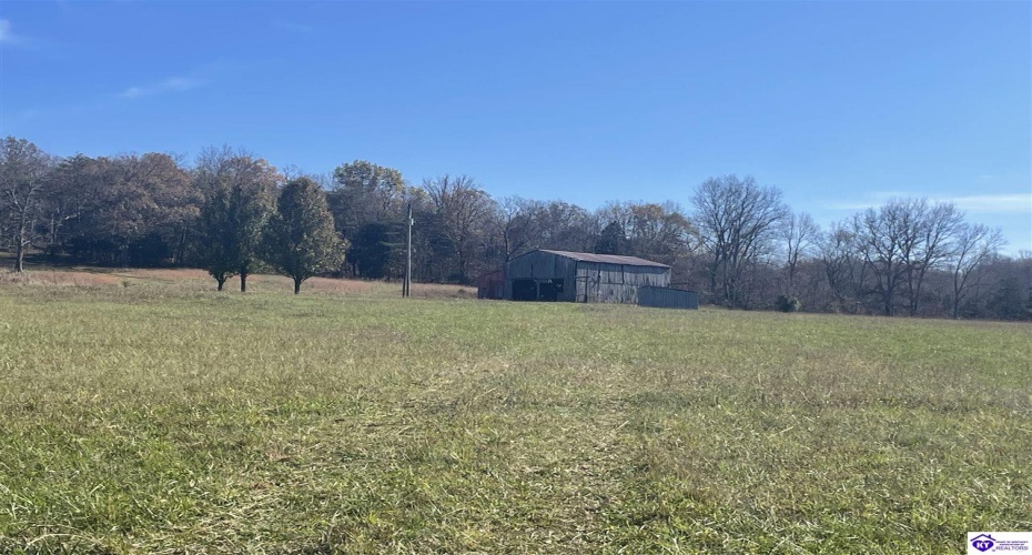 Junior Stilts Road, Greensburg, Kentucky 42743-0000, ,For Sale,Junior Stilts Road,HK24004583
