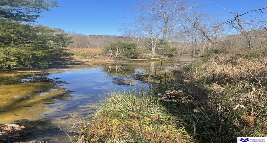 Junior Stilts Road, Greensburg, Kentucky 42743-0000, ,For Sale,Junior Stilts Road,HK24004583