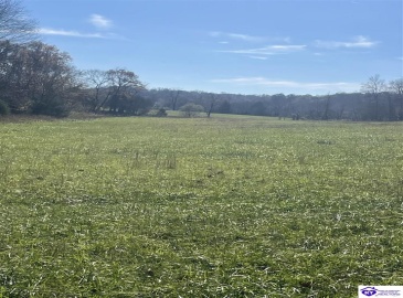 Junior Stilts Road, Greensburg, Kentucky 42743-0000, ,For Sale,Junior Stilts Road,HK24004583