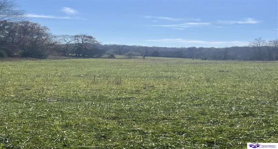 Junior Stilts Road, Greensburg, Kentucky 42743-0000, ,For Sale,Junior Stilts Road,HK24004583