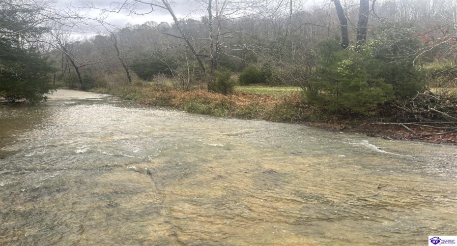 Junior Stilts Road, Greensburg, Kentucky 42743-0000, ,For Sale,Junior Stilts Road,HK24004583