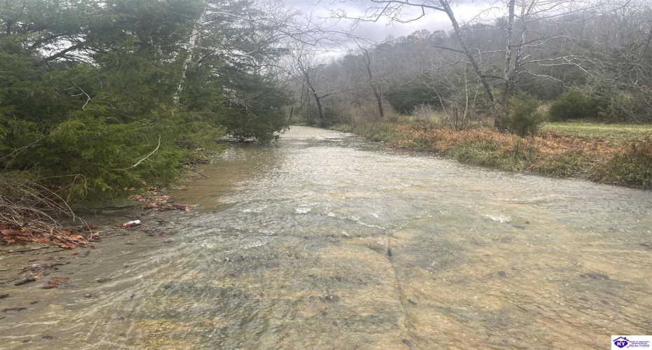 Junior Stilts Road, Greensburg, Kentucky 42743-0000, ,For Sale,Junior Stilts Road,HK24004583