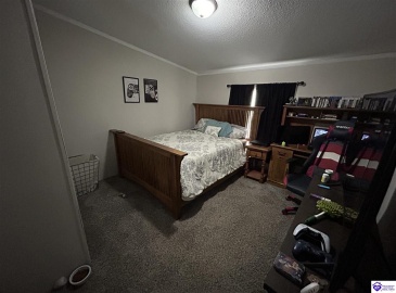 Diana Court, Brandenburg, Kentucky 40108, ,2 BathroomsBathrooms,For Sale,Diana Court,HK24004302