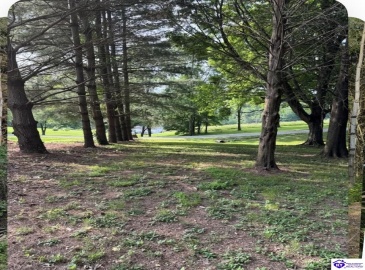 Elmore Road, Campbellsville, Kentucky 42718, ,For Sale,Elmore Road,HK24001923