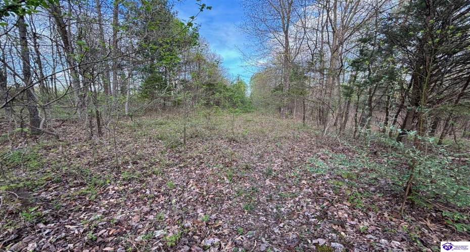 Morgan Road, Payneville, Kentucky 40157, ,For Sale,Morgan Road,HK24004612