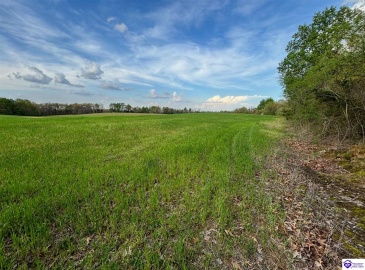 Morgan Road, Payneville, Kentucky 40157, ,For Sale,Morgan Road,HK24004612