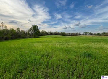 Morgan Road, Payneville, Kentucky 40157, ,For Sale,Morgan Road,HK24004612