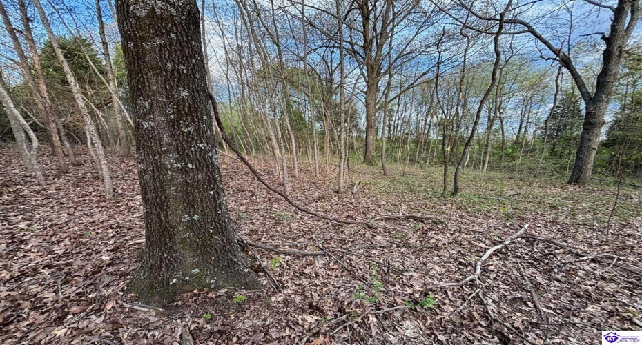 Morgan Road, Payneville, Kentucky 40157, ,For Sale,Morgan Road,HK24004612