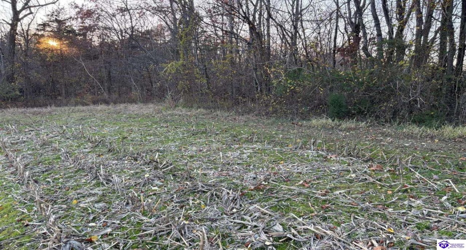 Morgan Road, Payneville, Kentucky 40157, ,For Sale,Morgan Road,HK24004614