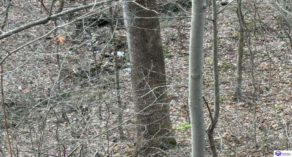 Morgan Road, Payneville, Kentucky 40157, ,For Sale,Morgan Road,HK24004614