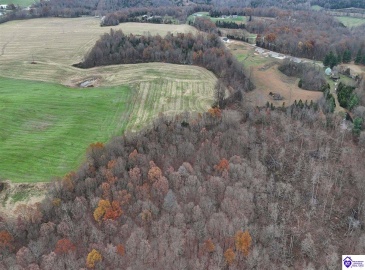 Morgan Road, Payneville, Kentucky 40157, ,For Sale,Morgan Road,HK24004614