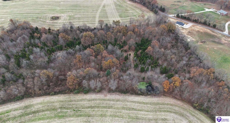 Morgan Road, Payneville, Kentucky 40157, ,For Sale,Morgan Road,HK24004614