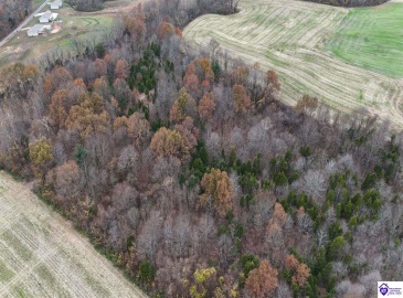 Morgan Road, Payneville, Kentucky 40157, ,For Sale,Morgan Road,HK24004614