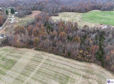 Morgan Road, Payneville, Kentucky 40157, ,For Sale,Morgan Road,HK24004614