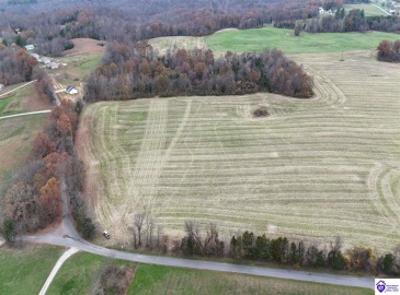 Morgan Road, Payneville, Kentucky 40157, ,For Sale,Morgan Road,HK24004614