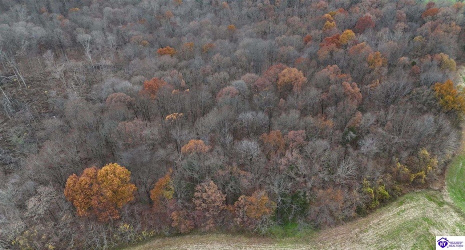 Morgan Road, Payneville, Kentucky 40157, ,For Sale,Morgan Road,HK24004614