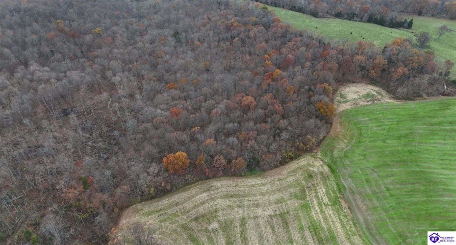 Morgan Road, Payneville, Kentucky 40157, ,For Sale,Morgan Road,HK24004614