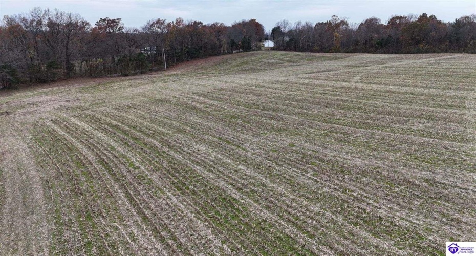 Morgan Road, Payneville, Kentucky 40157, ,For Sale,Morgan Road,HK24004614