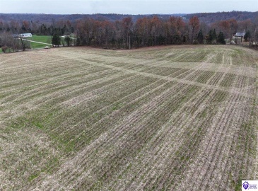 Morgan Road, Payneville, Kentucky 40157, ,For Sale,Morgan Road,HK24004614