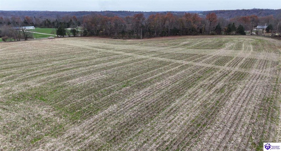 Morgan Road, Payneville, Kentucky 40157, ,For Sale,Morgan Road,HK24004614