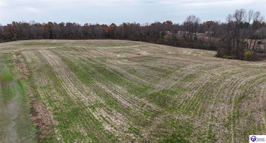 Morgan Road, Payneville, Kentucky 40157, ,For Sale,Morgan Road,HK24004614