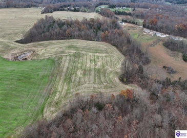 Morgan Road, Payneville, Kentucky 40157, ,For Sale,Morgan Road,HK24004614